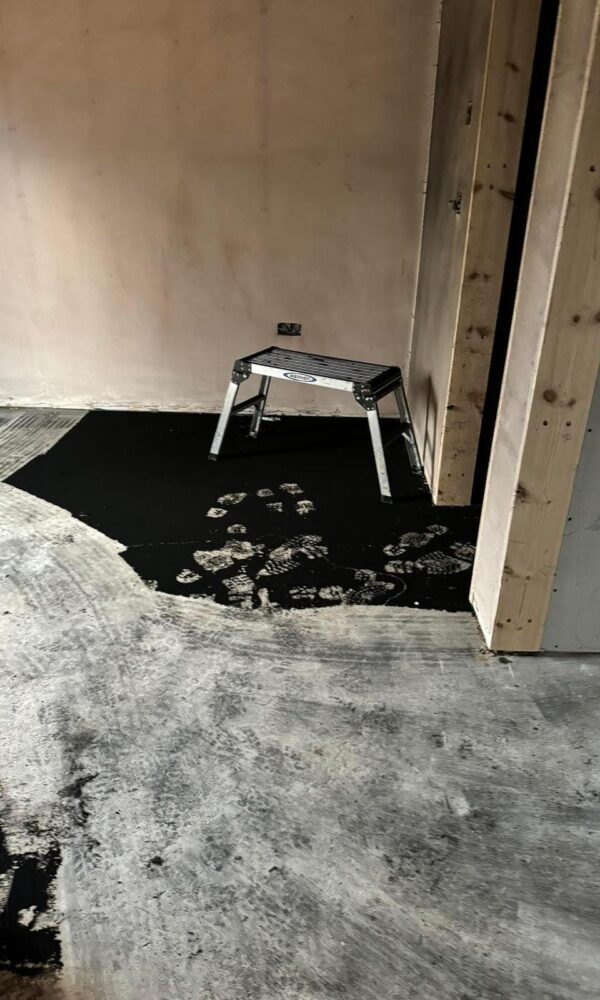 IMG-20241125-WA0006