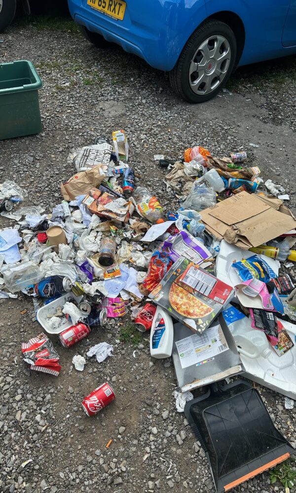 Cheltenham SCS Contract Cleaning (49)